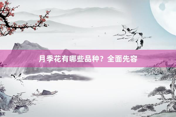 月季花有哪些品种？全面先容