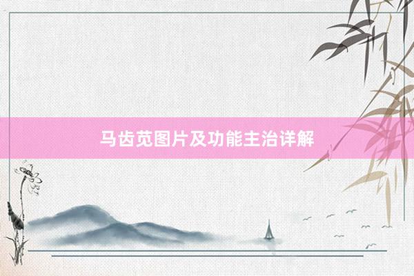 马齿苋图片及功能主治详解